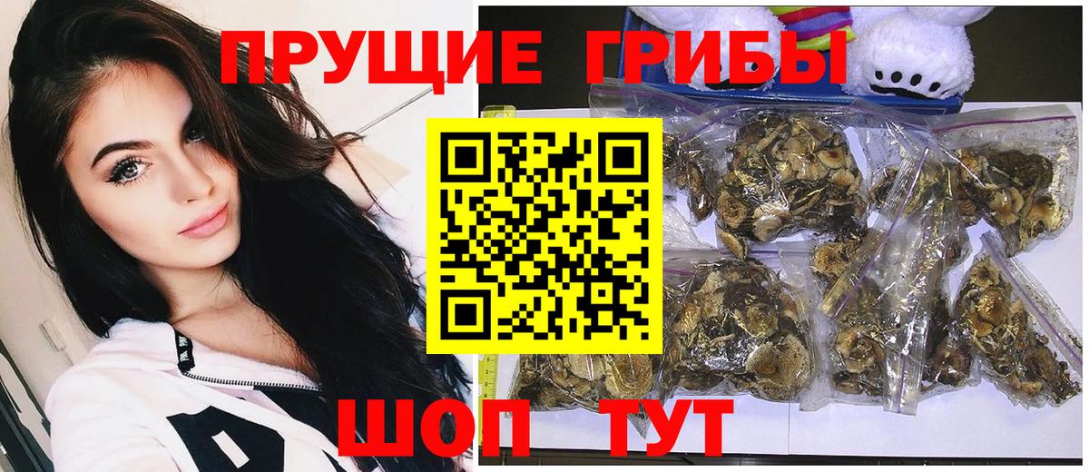 Галлюциногенные грибы Magic Shrooms  Вход с VPN  Псилоцибиновые грибы Psilocybine cubensis  Элиста 